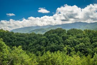 The Perfect Tenn By Stony Brook Cabins - Gatlinburg - 0