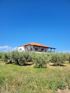 Villa Blanca with sea view near Sozopoli - Sozopoli - 8