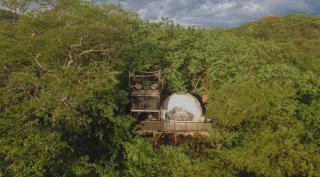 Cocolhu - Tamarindo - 0