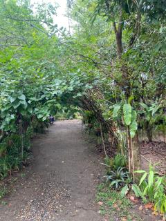 i Am i Farm Stay - Ban Mae Ta Man (1) - 3