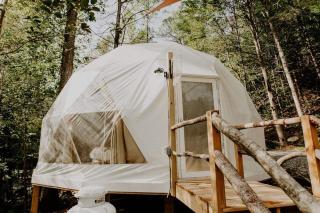 Whispering Waters Dome Getaway - 0