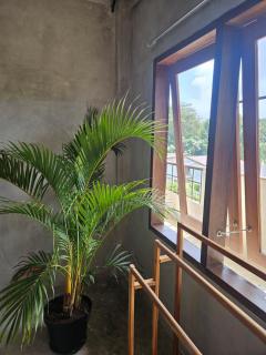 Salty Prana Retreat Center - Uluwatu - 7