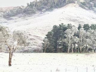 The Lakehaus at Lyell - Bowenfels - 7