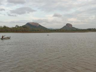 Lion Wood Treehouse - 2