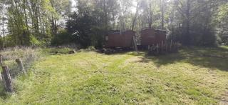 Ferienwohnung auf dem Land - Ladbergen - 3