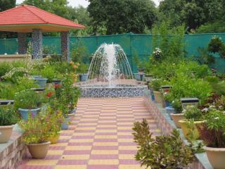 MajhDariya Village Resort - - 7