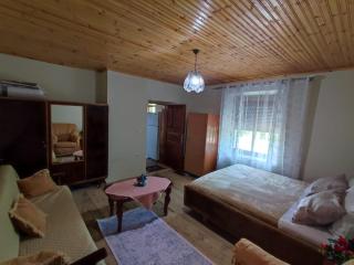 Guest House FELAU - 7