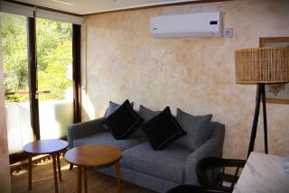 HOM I Departamento con Hermosa Vista - Santiago - 2