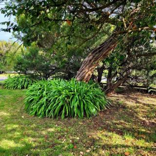 Capella Beach House - Capel Sound - 1