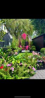 Pink Cosy Cottage - Glascote - 1