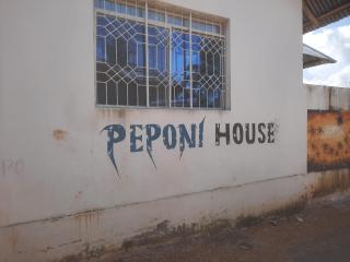 Peponi house - Nungwi - 9
