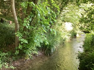 Maison campagne rivière forêt - Le Brévedent - 9