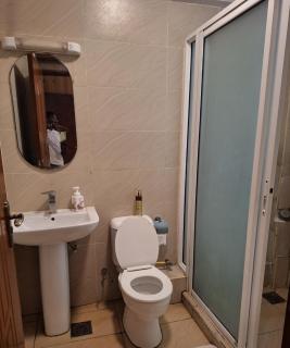 executive four bedroom kilimani with a rooftop pool - 2