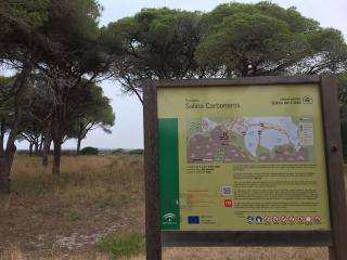 Apartamento con encanto en Chiclana - 3