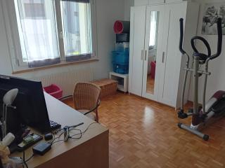 Magnifique appartement tranquille - - 9