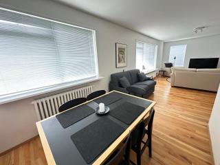 Sólheimar - Birta Rentals - Reykjavik - 3