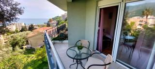 Sea View Superb Studio - Budua - 1