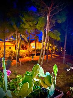 Linden House Etna - Aci SantʼAntonio - 3