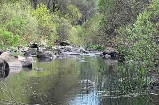 La casita del Río Guadiato - Córdoba - 5