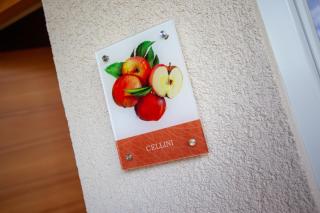 Hof Schupfer - Alpstay - 9