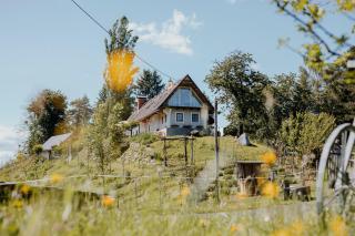 Ferienhaus am HerbstHof - Leutschach - 6