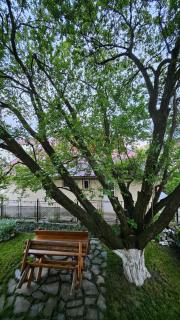 Casa Veronica - Buşteni - 5
