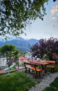 Casa Veronica - Buşteni - 8