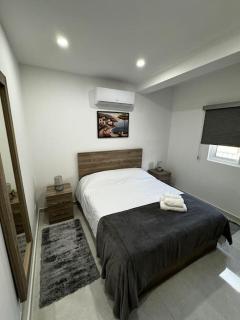 Moonlight Penthouse in Gzira - Il-Gżira - 6