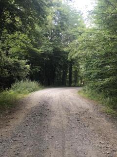 Vandelli B&B - Semplice Ospitalità per i viandanti a Lama Mocogno - 2