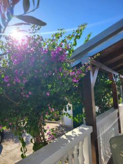 Holiday House Harmony - Brodarica - 4
