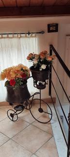 Casa vacanze belvedere - Biassa - 7