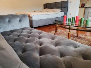Artcool Apartment with garden and garage - Sarajevo - 8