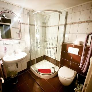 Hotel Taverne zur Linde - Bischofszell - 7