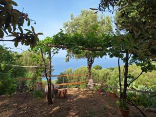Belvedere da zia Angela - Caprioli - 1