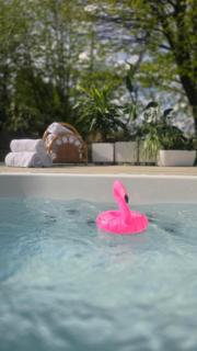 Szafran Home Spa - Korbielów - 4