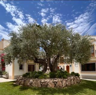 MI COSTA VERA-PLAYA 200m, dos balcones hermosa vista! - 6