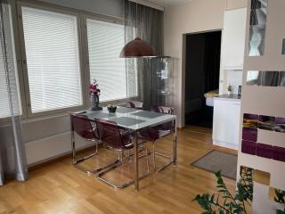 Luxury apartment with sauna, grill and garage - 7