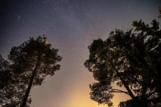 Rafi - The Village of Silence Resort, Aurora Cabin 3 - 9