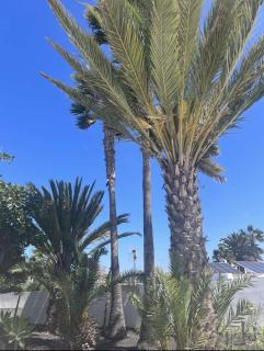 Villa Rosa - Puerto del Carmen - 8