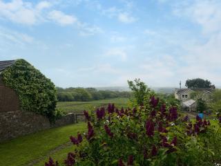Elder Cottage - Bridgend - 4