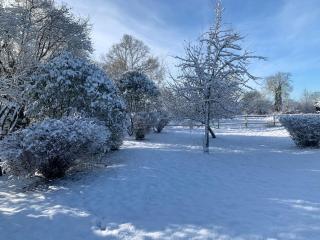 Le Pressoir de Bigard - Campigny - 9