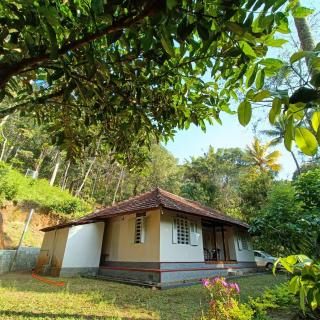 Eden Thottam Homestay - Kattappana - 7