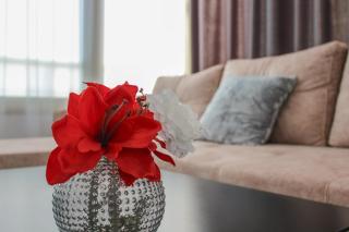 Seraphic Suites 668 - Durrës - 7