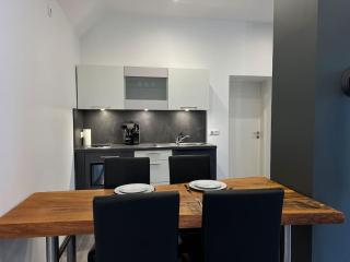 Geräumige Einzimmerwohnung in Quakenbrück - Quakenbrück - 8