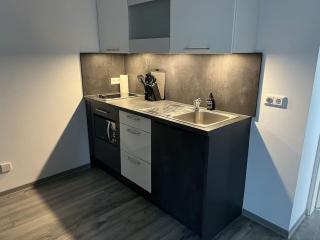 Geräumige Einzimmerwohnung in Quakenbrück - Quakenbrück - 7