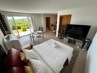 Lakeview Apartment-Lavaux - Grandvaux - 5