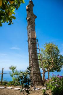 Dimora GiuEla - Positano - 7
