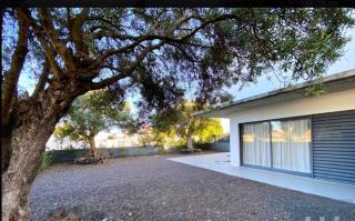 Casa das 3 Oliveiras - Porto Santo - 2
