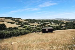 Ash Hut Wiveliscombe - 0