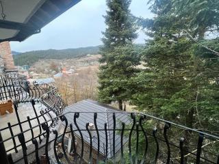 Hotel Bacelli Voskopoje - Voskopoja - 1